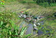 Philippines - Les rizières de Banaue