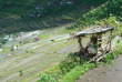 Philippines - Les rizières de Banaue