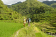 Philippines - Marche à travers les rizières