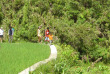 Philippines - Marche à travers les rizières