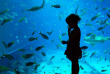 Singapour – Sentosa S.E.A Aquarium © Lukasz Kasperek – STB2015