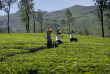 Sri Lanka - Ceylon Tea Trails - Promenade dans les environs