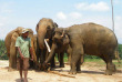 Sri Lanka - L'orphelinat des éléphants