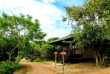 Sri Lanka - Yala - Cinnamon Wild