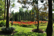 Thailande - Chiang Rai - Laluna Hotel & Resort - Jardin du Laluna Hotel and Resort
