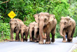 Thailande - Rivière Kwai, Khao Yai et Ayutthaya © Shutterstock, Nutsiam