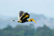 Thailande - Rivière Kwai, Khao Yai et Ayutthaya © Shutterstock, Kajornyot