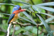 Thailande - Rivière Kwai, Khao Yai et Ayutthaya © Shutterstock, Butterfly Hunter