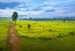 Thailande - Rivière Kwai, Khao Yai et Ayutthaya © Shutterstock, Sittitap