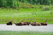 Thailande - Rivière Kwai, Khao Yai et Ayutthaya © Shutterstock, Subin Pumsom