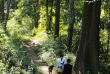 Thailande - Promenade en forêt © Asian Oasis