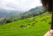 Vietnam - Circuit De Mai Chau à Sapa - Les rizières du Nord Vietnam © Post Hit Press