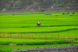 Vietnam - Les ethnies de Mai Chau - Les villages ethniques de Mai Chau