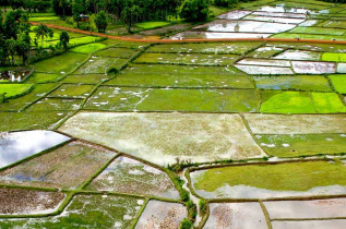 Cambodge – Campagne cambodgienne © Pandaw River Cruises