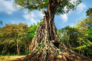 Cambodge – Kampong Thom © Perfect Lazybones – Shutterstock