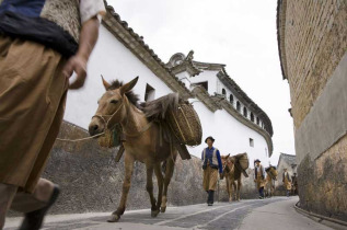 Chine - Yunnan - Lijiang - LUX* Tea Horse Road - Caravane de chevaux dans les rues de Lijiang © LUX* Tea Horse Road Lijiang