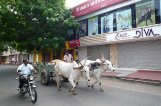 Inde - Nostalgie du Sud - Pondicherry