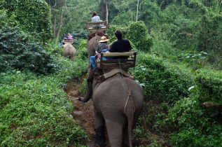 Indonésie - Balade à dos d'éléphant