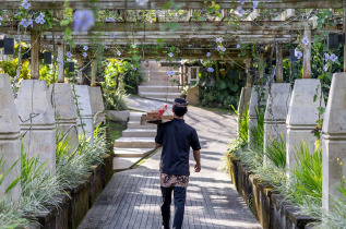 Indonésie - Bali - Wapa di Ume Ubud