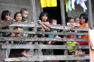 Indonésie - Kalimantan - Rencontre avec les Dayaks