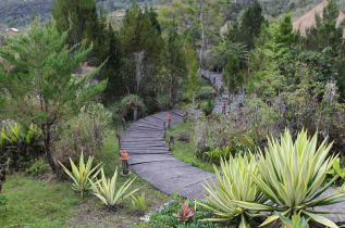 Indonésie - Papua - The Baliem Valley Resort © Papua Explorer Tours & Expeditions