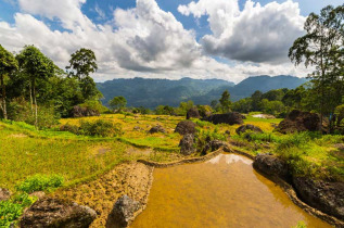 Indonésie - Sulawesi - Paysage du pays Toraja © Fabio Lamanna – Shutterstock