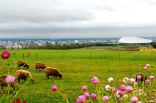 japon - Les plaines d'Hitsujigoaka © Y. Shimizy - JNTO