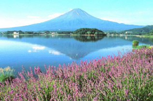 japon - Le Lac Kawaguchi et le mont Fuji © JNTO