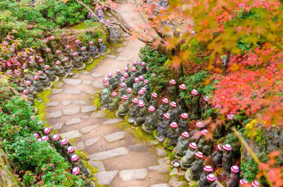 japon - Un sentier de Miyajima © Sean Pavone - Shutterstock