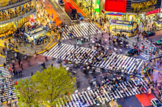 japon - Intersection de Shibuya © Sean Pavone - Shutterstock