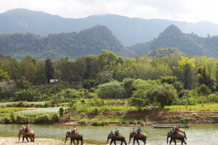 Laos - Balade à dos d'éléphant