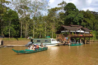 Malaisie - Circuit La rivière Kinabatangan - Le Sukau Rainforest Lodge