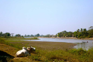 Myanmar - Bago - Dans les environs de Bago