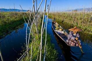 Myanmar - Dans les villages du Lac Inle © Marc Dozier