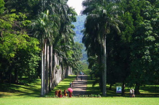 Sri Lanka - La Peradeniya de Kandy