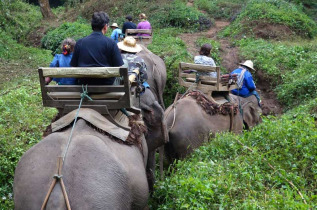 Thailande - Promenade à dos d'éléphant