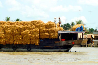Vietnam - Excursion Delta du Mékong - Transport de marchandises dans le Delta du Mékong