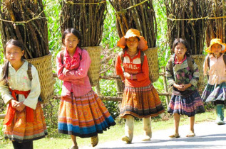 Vietnam - Escapade à Sapa - De retour des champs