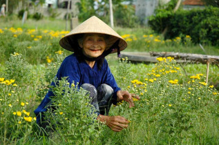 Vietnam - Les secrets du Vietnam central - La ferme organique de Tra Que