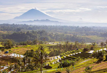 Indonésie - Bali - Les rizières de Jati Luwih et vue sur le Mont Agung © My Good Images – Shutterstock