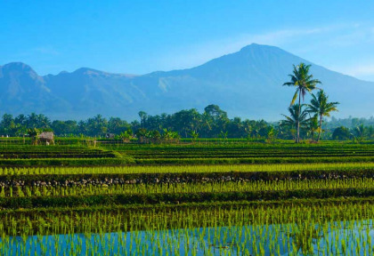 Indonésie - Lombok - Paysage de Lombok © Shahreen – Shutterstock
