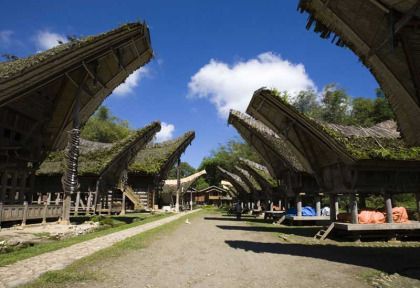 Indonésie - Sulawesi - Village Toraja de Sulawesi © Erikdegraaf – Fotolia