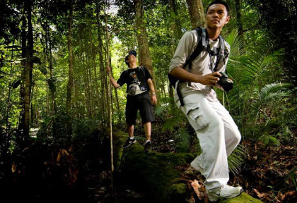 Malaisie - A la découverte du Taman Négara - Marche dans le Taman Negara