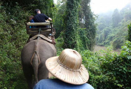 Thailande - Promenade à dos d'éléphant