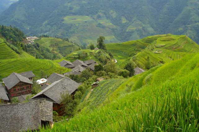 Chine - Randonnée dans les environs de Longsheng