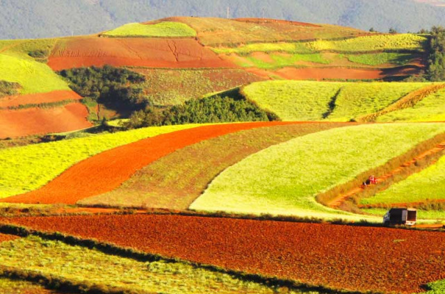 Chine - Les terres rouges du Yunnan