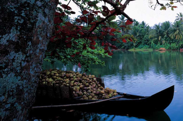 Inde - Circuit Inde du sud - Backwaters