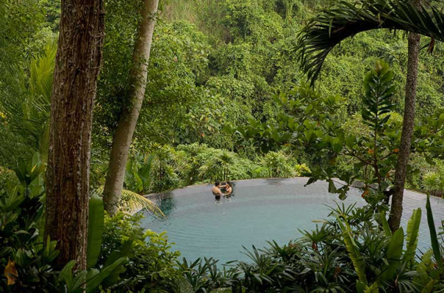 Indonésie - Bali - Ubud - Pita Maha Resort and Spa - Piscine