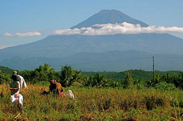 Indonésie - Le volcan Merapi à proximité de Jogjakarta