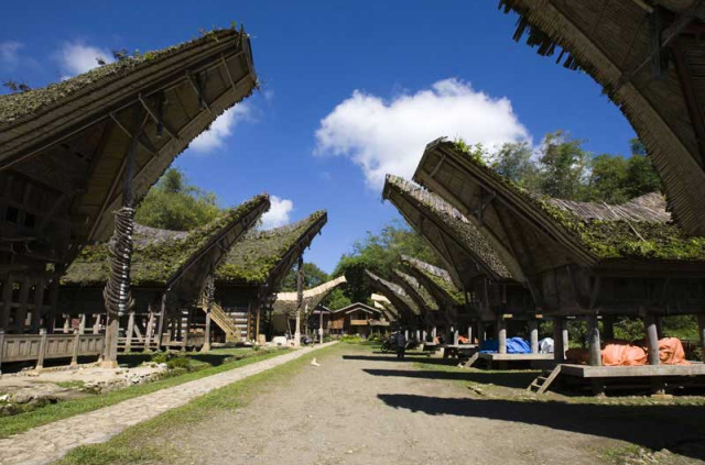 Indonésie - Sulawesi - Village Toraja de Sulawesi © Erikdegraaf – Fotolia